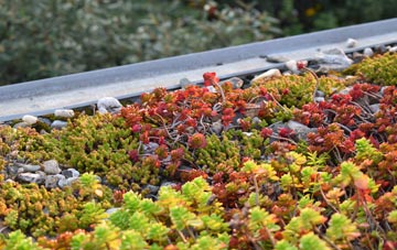 the cost of Forebridge green roof installation