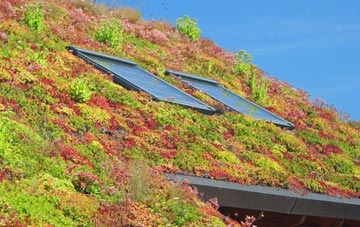 Forebridge living roof systems