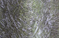 Forebridge fibreglass roof work